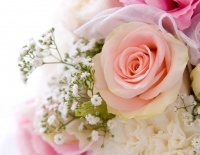 Florist