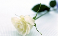 Civil Wedding Package 