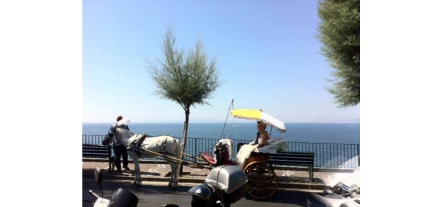 Horse carriage in Sorrento